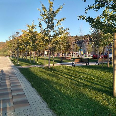 Apartman Sani Donji Milanovac Extérieur photo
