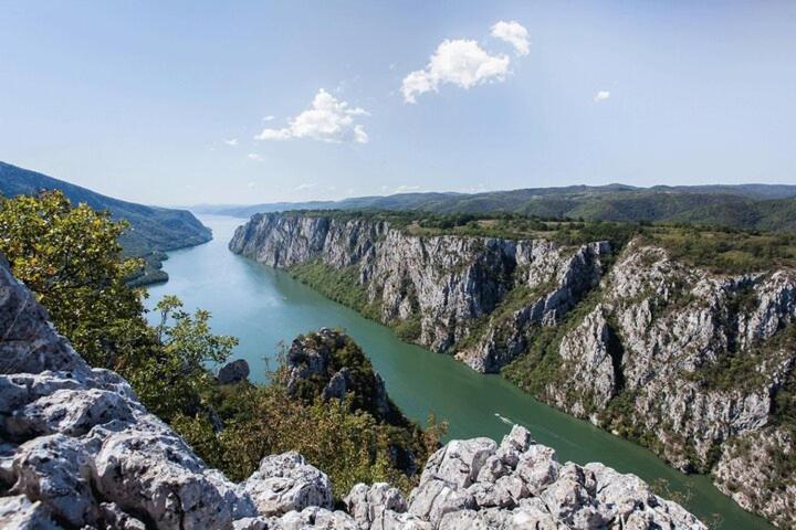 Apartman Sani Donji Milanovac Extérieur photo